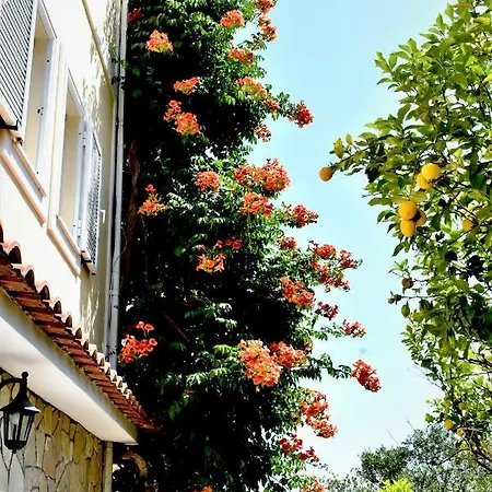 Dionysios Apartmán *