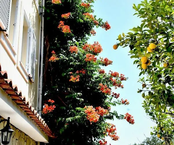 Dionysios Apartament *